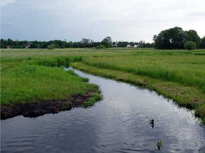Flietal in Tegel
